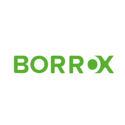 logo borrox - iborra web design